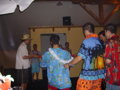 Hawaiian Birthday Party 29860975