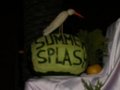 -->SuMMeRsPlAsH<-- 22976314