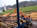 Exkursion Holz 36304008