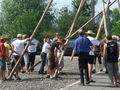 Maibaum-Piraten 59743665