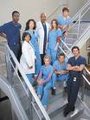 Grey's Anatomy 14832759