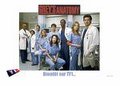 Grey's Anatomy 14833164