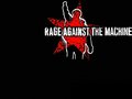 Rage Against The Machine 21386652