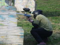 *PaInTbAlL* Reloaded 16230253