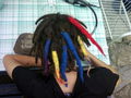 Rastaman Vibration   ......yea....... 66031231