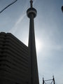 Toronto 17261337