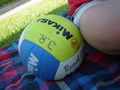 volleyball... 63861401