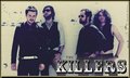 THE KILLERS! 13278778