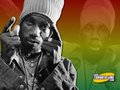 ...Reggae Artists... 11535822