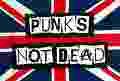 PUNKS NOT DEAD 14400058