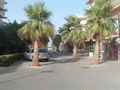 ~~UrlaUB am BALLERMANN(mallorca)~~~ 42234975