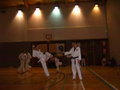 tae kwon do 14336859