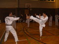 tae kwon do 14336894