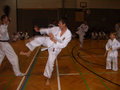 tae kwon do 14336899