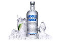 absolut 53476308