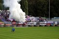 Austria wien 11610691