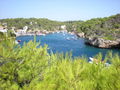 *Mallorca*de saufa 43737539