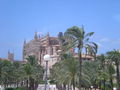 *Mallorca*de saufa 43737564