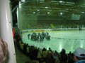 2AHDV - Eishockey 11746668