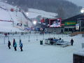 Nacht-slalom in Schladming 55295604