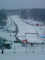 Nacht-slalom in Schladming 55295611