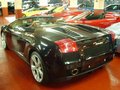 Lambo style 13656065