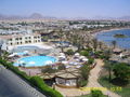  Cairo & Sharm EL Sheik mit Dad & Sister 39469489