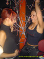 ------------PARTY2004----------- 16897862