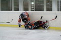 Eishockey 15403011