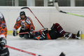 Eishockey 15403013