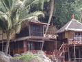 Thailand 2008, Bangkok-Koh Tao-Koh Samui 46170506