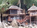 Thailand 2008, Bangkok-Koh Tao-Koh Samui 46170537