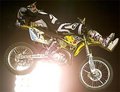 Travis Pastrana 11667779