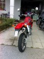 Honda XR 650 R 29394327