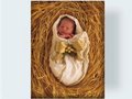 Lauter kleine Babys - Anne Geddes 21570329