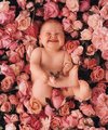 Lauter kleine Babys - Anne Geddes 21570330