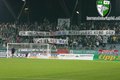 Solidarität mit Austria Salzburg 13716309