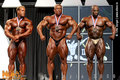 bodybuilding 16294418