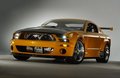 Mustang style 17905935