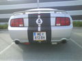 Mustan GT 42112929