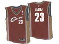 LeBron James und Michael Jordan 11918161