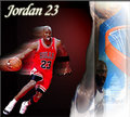 LeBron James und Michael Jordan 11918169