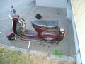 my *oide* vespa 21862828