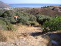 Kreta 2006 12582463