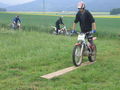 Trial 2008 38471845