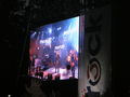 Donauinselfest 2009 62076799