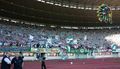 SK Rapid Wien 38801101