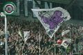 SK Rapid Wien 38801113