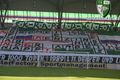 SK Rapid Wien 38801176