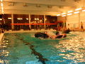 AFVG - Wasserspiele 21.3.09 56640080